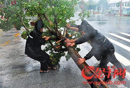 18日，海南琼中城管大队工作人员在风雨中清理被吹倒树木