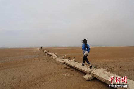 鄱阳湖水位持续走低 全国最长湖中石桥再现真容