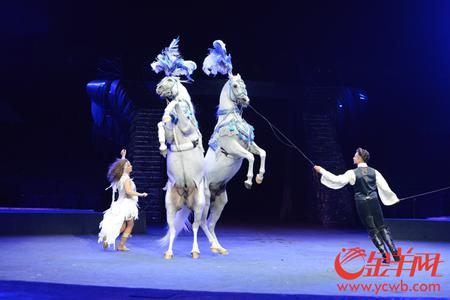 探营第三届马戏节 又三强亮相珠海