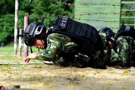 图为反恐尖兵挑战自研自究的高难度800米障碍中的爬低桩网科目。