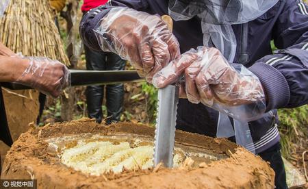 农民霜降后割蜜 一公斤卖400元供不应求