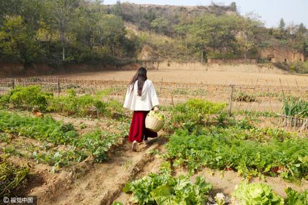 郑州80后美女舍弃城里百万豪宅 回农村种地住窑洞