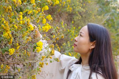 郑州80后美女舍弃城里百万豪宅 回农村种地住窑洞