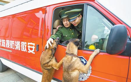 消防兵退伍 搜救犬扑上车要跟着走