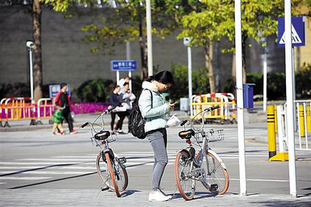 路上随时可以遇到停放在路边的互联网自行车，一位市民打开手机准备扫码开锁 羊城晚报记者 王磊 摄