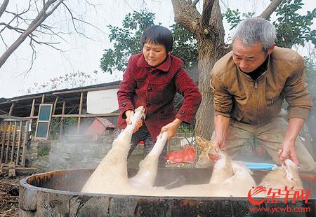 【网络媒体走转改】春节：怀旧的节日 舌尖上的盛宴