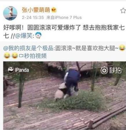 张小蒙微博截图