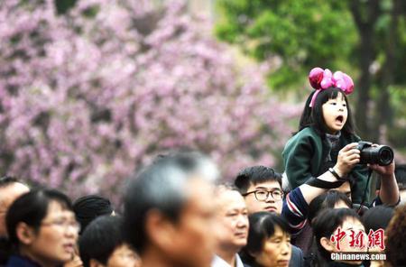 中科大举办“春风汉韵”樱花游园会