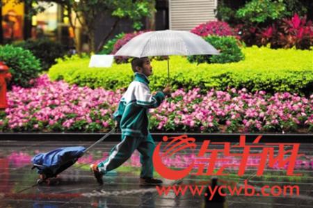 昨日，广州下起小雨