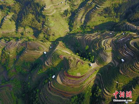 航拍贵州月亮山梯田 犹如大地“指纹”