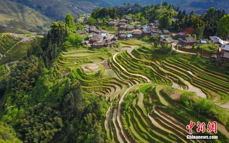 航拍贵州月亮山梯田 犹如大地“指纹”