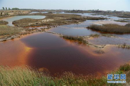 河北大城现“超级渗坑” 多年治理未达预期效果